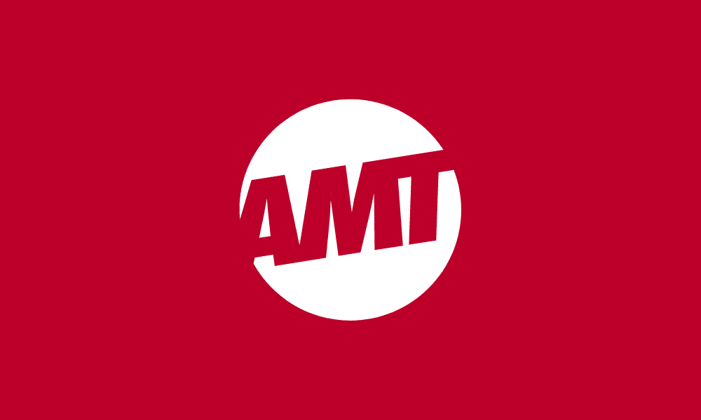 Aperçu du projet AMT Transversale